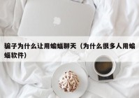 骗子为什么让用蝙蝠聊天（为什么很多人用蝙蝠软件）