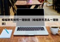 蝙蝠聊天如何一键撤回（蝙蝠聊天怎么一键撤回）