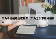 华为手机蝙蝠加密聊天（华为怎么下载蝙蝠聊天）