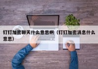 钉钉加密聊天什么意思啊（钉钉加密消息什么意思）