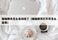蝙蝠聊天怎么自动挂了（蝙蝠聊天打不开怎么回事）