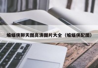 蝙蝠侠聊天图高清图片大全（蝙蝠侠配图）