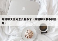 蝙蝠聊天图片怎么看不了（蝙蝠聊天收不到图片）