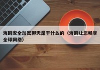 海鸥安全加密聊天是干什么的（海鸥让您畅享全球网络）