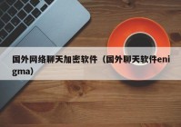 国外网络聊天加密软件（国外聊天软件enigma）