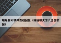 蝙蝠聊天软件自动回复（蝙蝠聊天怎么全部撤回）