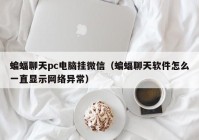 蝙蝠聊天pc电脑挂微信（蝙蝠聊天软件怎么一直显示网络异常）
