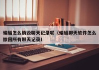 蝙蝠怎么销毁聊天记录呢（蝙蝠聊天软件怎么撤回所有聊天记录）