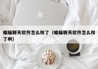 蝙蝠聊天软件怎么样了（蝙蝠聊天软件怎么样了啊）