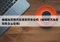 蝙蝠加密聊天应用软件安全吗（蝙蝠聊天加密失败怎么处理）