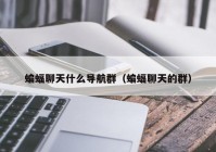蝙蝠聊天什么导航群（蝙蝠聊天的群）