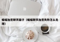 蝙蝠加密聊天骗子（蝙蝠聊天加密失败怎么处理）