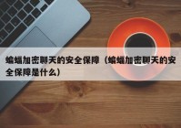 蝙蝠加密聊天的安全保障（蝙蝠加密聊天的安全保障是什么）