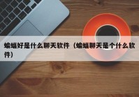 蝙蝠好是什么聊天软件（蝙蝠聊天是个什么软件）