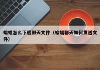 蝙蝠怎么下载聊天文件（蝙蝠聊天如何发送文件）