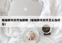 蝙蝠聊天软件加群聊（蝙蝠聊天软件怎么加好友）