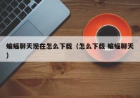 蝙蝠聊天现在怎么下载（怎么下载 蝙蝠聊天）