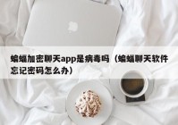 蝙蝠加密聊天app是病毒吗（蝙蝠聊天软件忘记密码怎么办）