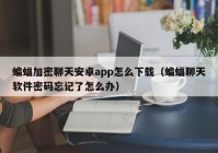 蝙蝠加密聊天安卓app怎么下载（蝙蝠聊天软件密码忘记了怎么办）