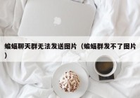 蝙蝠聊天群无法发送图片（蝙蝠群发不了图片）