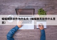 蝙蝠聊天软件为什么火（蝙蝠聊天软件什么意思）