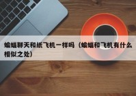 蝙蝠聊天和纸飞机一样吗（蝙蝠和飞机有什么相似之处）