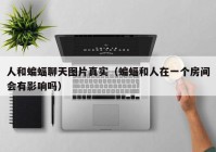 人和蝙蝠聊天图片真实（蝙蝠和人在一个房间会有影响吗）