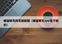蝙蝠聊天网页版截图（蝙蝠聊天app是干嘛的）