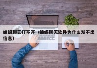 蝙蝠聊天打不开（蝙蝠聊天软件为什么发不出信息）