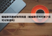 蝙蝠聊天删掉如何找回（蝙蝠聊天对方删了你可以知道吗）