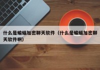 什么是蝙蝠加密聊天软件（什么是蝙蝠加密聊天软件啊）
