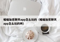 蝙蝠加密聊天app怎么玩的（蝙蝠加密聊天app怎么玩的啊）