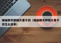 蝙蝠聊天群图片看不到（蝙蝠聊天群图片看不到怎么回事）