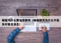 蝙蝠为什么要加密聊天（蝙蝠聊天为什么不能及时看见消息）