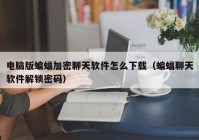 电脑版蝙蝠加密聊天软件怎么下载（蝙蝠聊天软件解锁密码）