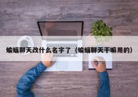 蝙蝠聊天改什么名字了（蝙蝠聊天干嘛用的）
