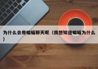 为什么会用蝙蝠聊天呢（我想知道蝙蝠为什么）