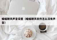 蝙蝠聊天声音设置（蝙蝠聊天软件怎么没有声音）