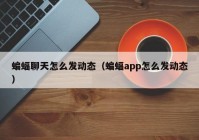 蝙蝠聊天怎么发动态（蝙蝠app怎么发动态）