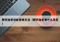 聊天加密功能使用方法（聊天加密是什么意思）