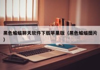 黑色蝙蝠聊天软件下载苹果版（黑色蝙蝠图片）