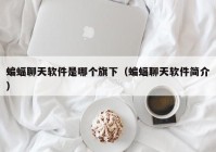 蝙蝠聊天软件是哪个旗下（蝙蝠聊天软件简介）