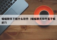 蝙蝠聊天下载什么软件（蝙蝠聊天软件是干嘛的?）