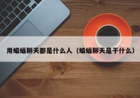 用蝙蝠聊天都是什么人（蝙蝠聊天是干什么）