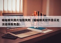 蝙蝠聊天图片加载失败（蝙蝠聊天软件显示无法连接服务器）