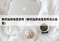 聊天加密啥意思呀（聊天加密啥意思呀怎么设置）