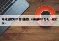 蝙蝠加密聊天自动回复（蝙蝠聊天怎么一键撤回）