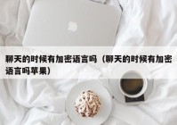 聊天的时候有加密语言吗（聊天的时候有加密语言吗苹果）