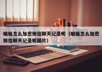 蝙蝠怎么加密微信聊天记录呢（蝙蝠怎么加密微信聊天记录呢图片）