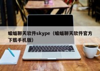 蝙蝠聊天软件skype（蝙蝠聊天软件官方下载手机版）